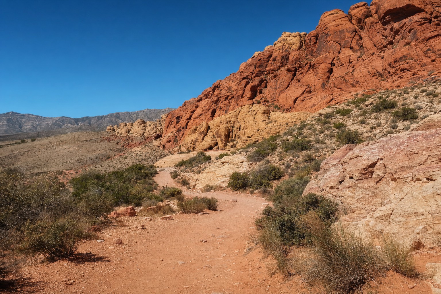 A hiking trail winding between red sandstone formations in Red Rock Canyon