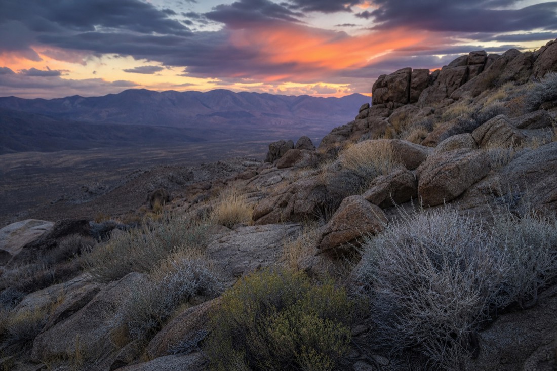 Backcountry desert terrain above 5,000 feet in the conservation area