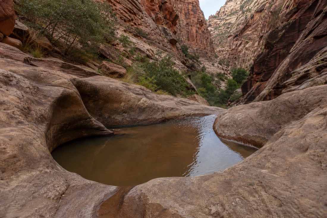 The natural rock basin at the end of the Calico Tanks trail