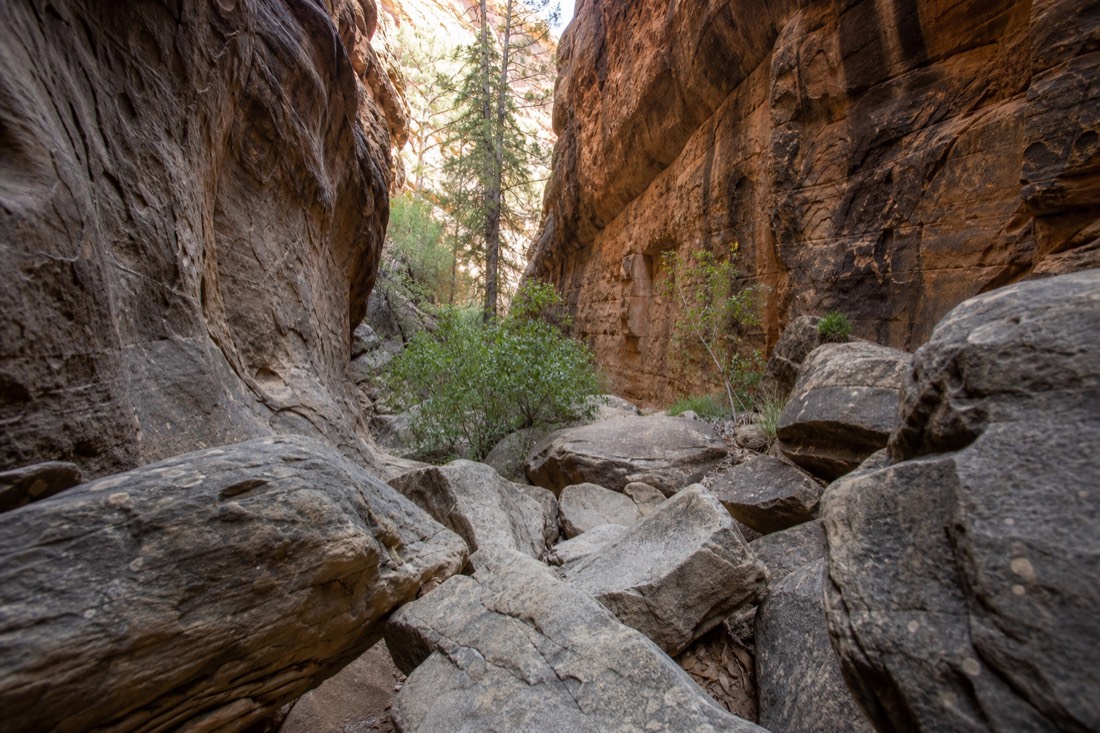 The shaded, boulder-strewn narrows of Icebox Canyon