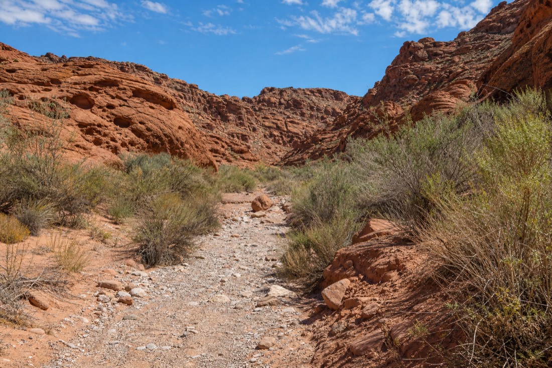 Red Rock Canyon National Conservation Area