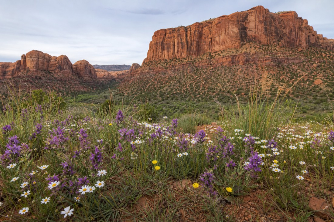Red Rock Canyon National Conservation Area