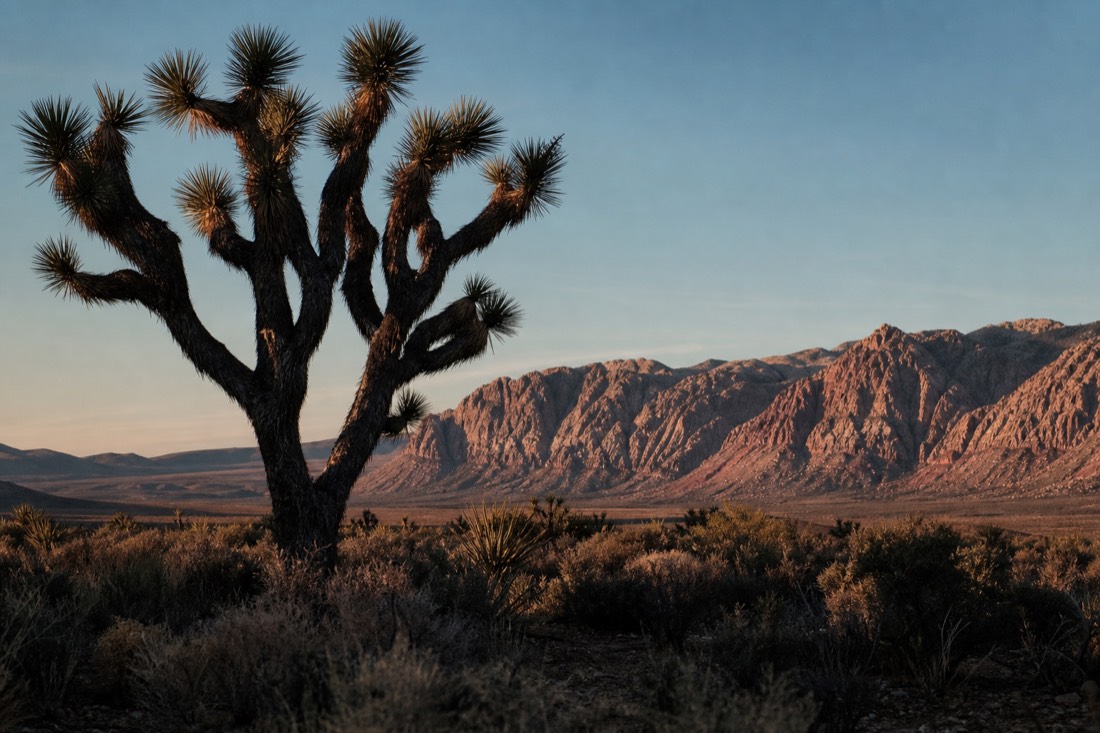Red Rock Canyon National Conservation Area